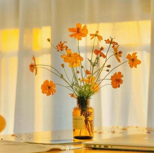 دانلود آهنگ به به ببین کی اومده تو زندگیم