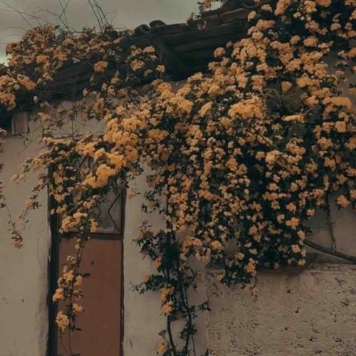 دانلود آهنگ چی اومد سر من که قول داده بودم دیگه با صدای دختر