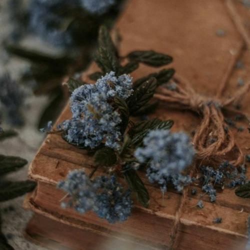 دانلود آهنگ بلال بلال یکی یکی به روح قرآن تو تکی با صدای زن