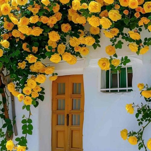 دانلود آهنگ بی منم اگه رفتی تلاشمو کردم واست