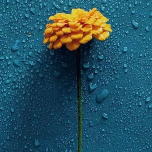 دانلود آهنگ نگاه من التماسه نگاه تو نگام رو میشناسه