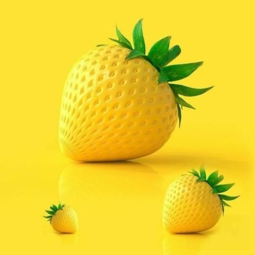 دانلود آهنگ میشینم به روی بومت که ره قفس بگیرم