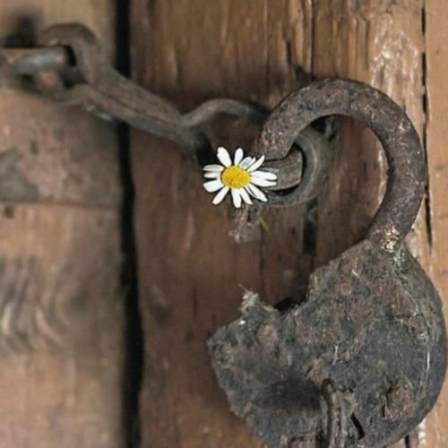 دانلود آهنگ ای دختر صحرا نیلوفر او بابا چی بودی