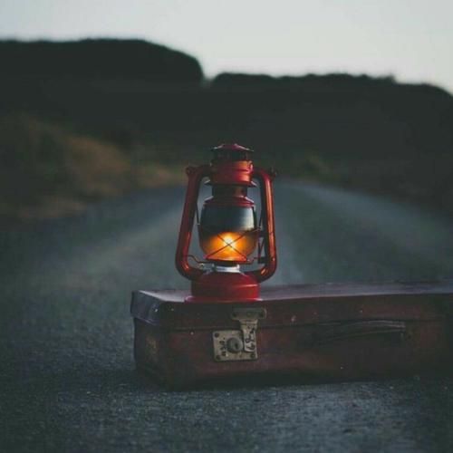 دانلود آهنگ مثل برد بود باختن قلبم به تو