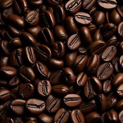 دانلود آهنگ ماچ و موچت بگولیم لپ بکشیم بوست گولیم