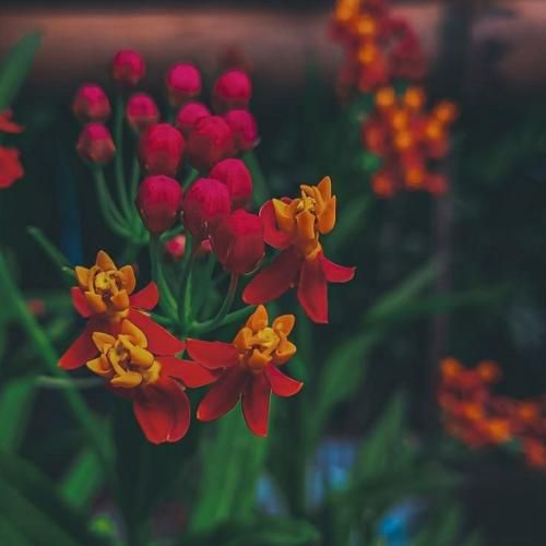 دانلود آهنگ عشقم با اجازه تو دل تو می‌خوام بشم – هوش مصنوعی