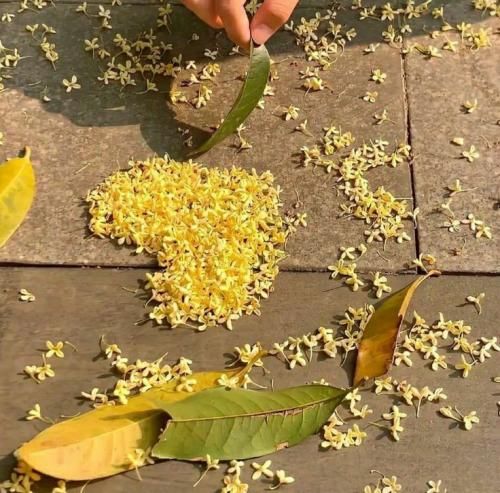 دانلود آهنگ چشم از تو بردارم تو با یک بوسه دستاتو – هوش مصنوعی