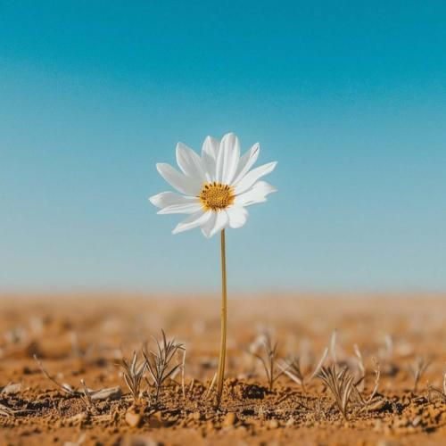 دانلود آهنگ یکی دیگه به جای من از اون کوچه رد می‌شه – هوش مصنوعی