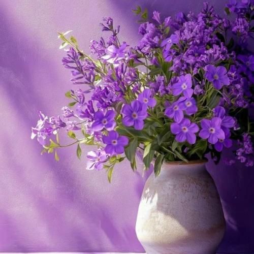دانلود آهنگ یه دل دارم تو سینه که گرم و آتشینه