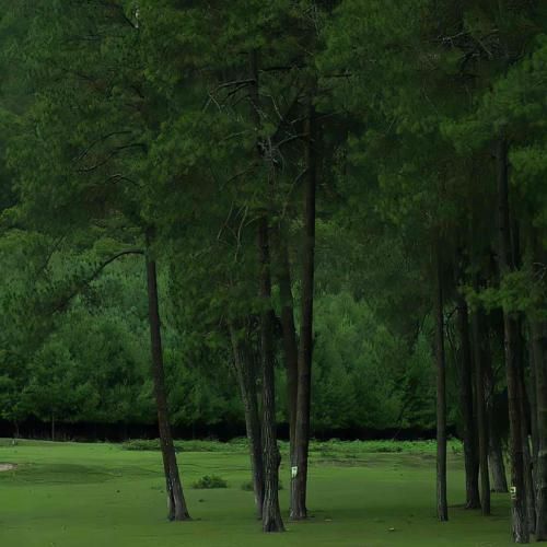 دانلود آهنگ منت به سرم گذاشته بود یار دل سپرده بود