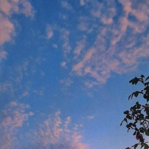 دانلود آهنگ تو این قفس غریبه ستاره بی ستاره سپیده بی سپیده