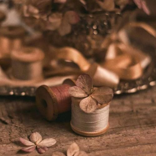 دانلود آهنگ نگو همینه آره دیگه یه شانس بده یه بار دیگه