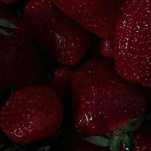 دانلود آهنگ چه با صفا بود آسمون چشمات