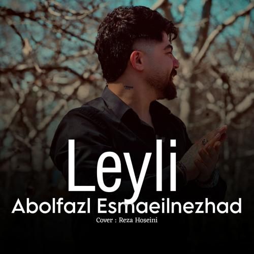 دانلود آهنگ لیلی ابوالفضل اسماعیل نژاد
