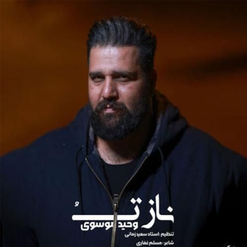 دانلود آهنگ ناز تو وحید موسوی