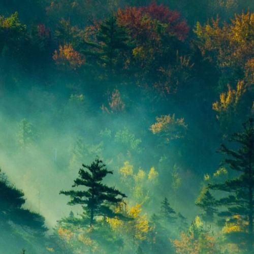 دانلود آهنگ ای وای گلم وای گله دلبر نازو خوشگلم