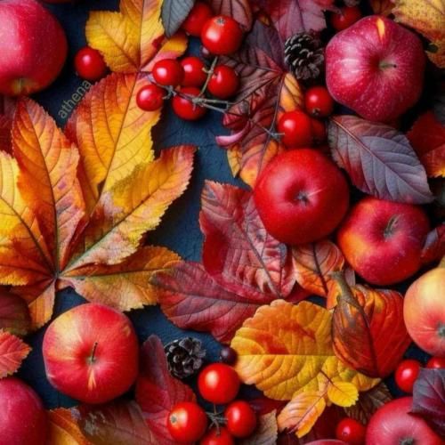 دانلود آهنگ شب بیا توی ترپ خونه سر تسلیحات بگو
