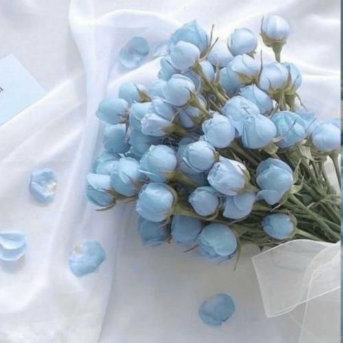 دانلود آهنگ هر شب تو رویای خودم آغوشتو تن میکنم