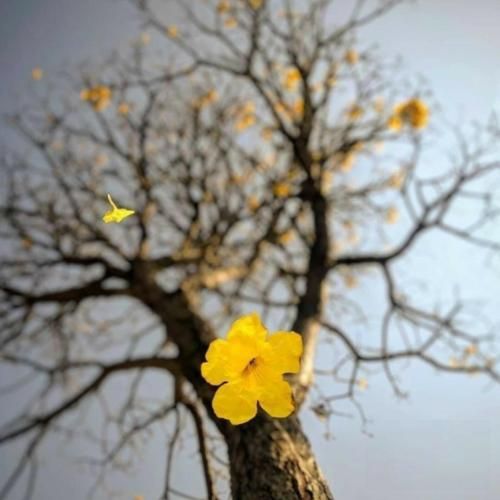 دانلود آهنگ آخه این حالو ببین من دیوونه همین ثانیه واست – هوش مصنوعی