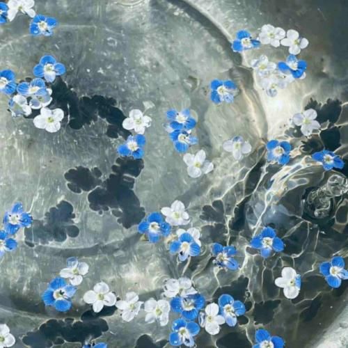 دانلود آهنگ دورم می کنی مجبورم میکنی پا پیچت بشم – هوش مصنوعی