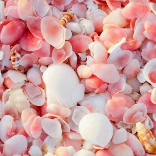 دانلود آهنگ باید اشتباه بدتو جبران کنی باید استایل خوبتو اعلام کنی