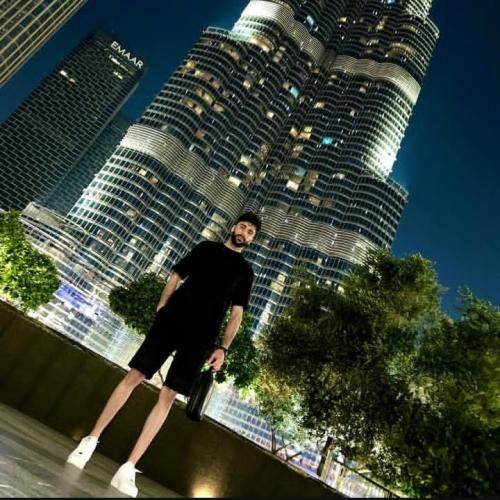 دانلود آهنگ جدید واویلا لیلی از امیر تنگسیری