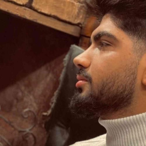 دانلود آهنگ بانو جان امیر فضلی