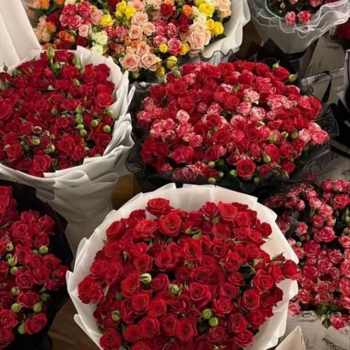دانلود ریمیکس دلم آرزوهامو میخواد دلم میخواد دیگه بس کنم