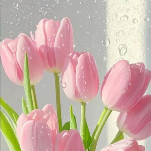 دانلود آهنگ خذنی بحضنک أبی أغفی آه مبطی ماغفیت