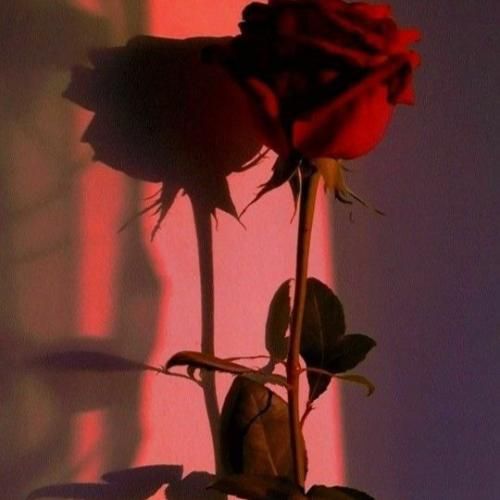 دانلود آهنگ رقب و رقبا نقره داغ شریک و شرکا شبهه دار