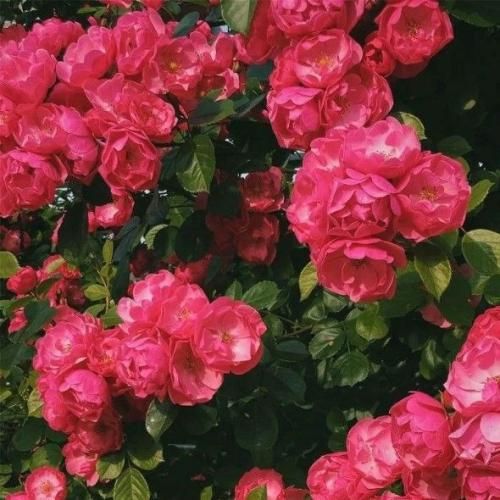 دانلود آهنگ منم و یه قطار و یه بلیط تنهایی تو سرزمین غم