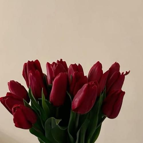 دانلود آهنگ مثل جزیره وسط دریا هیشکی نمیدونه که من چقدر تنهام