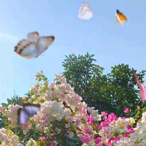 دانلود آهنگ امشب چه زیبا شده ای لایق دلها شده ای دلم روبودی