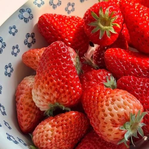 دانلود آهنگ باور نکن اگه گفتم بیبی حالم خوبه تو از وقتی