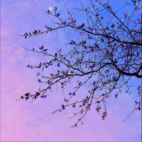 دانلود آهنگ عشق یعنی دعای مامان پشت سرم