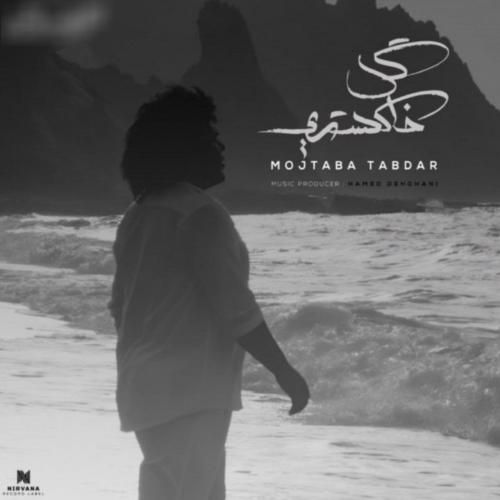 دانلود آهنگ جدید گل خاکستری از مجتبی تابدار