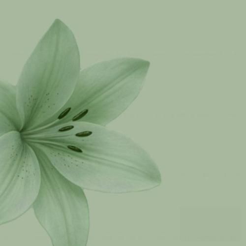 دانلود آهنگ الان که فاصلم تا مرگ دو قدمه فهمیدم دلم