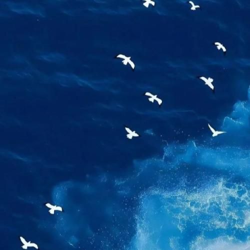 دانلود آهنگ رسیده وقت رفتن هرچند من از خونه خیلی وقته رفتم