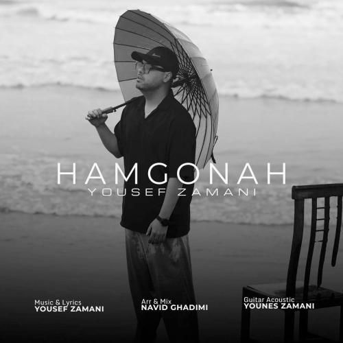 دانلود آهنگ جدید هم گناه از یوسف زمانی
