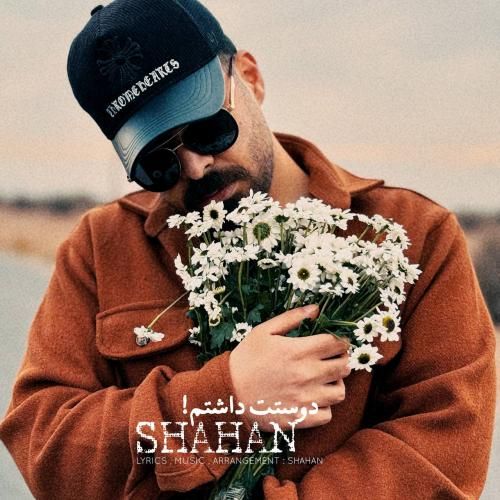 دانلود آهنگ جدید دوستت داشتم از شاهان