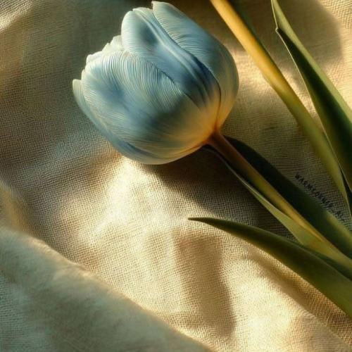 دانلود آهنگ همه قفلن همه بی کلید پر توقع پرو چش سفید