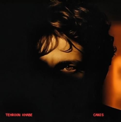 دانلود آهنگ تهرون خوابه کنیس