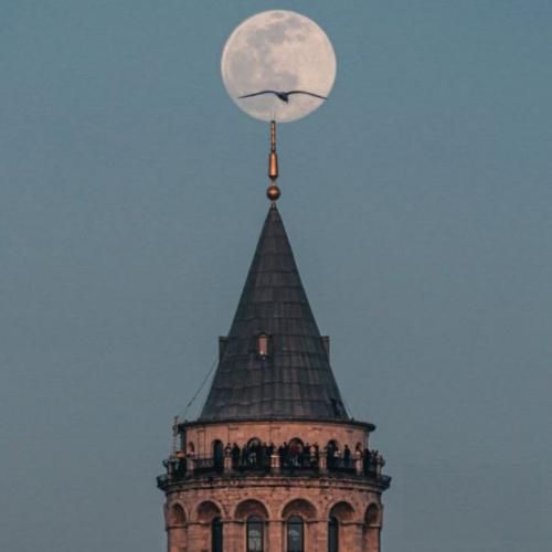 دانلود آهنگ دور بود دنیات از دنیام این دیونه مغرور بود