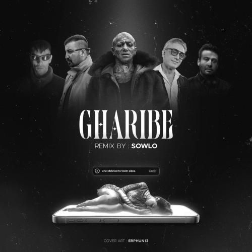 دانلود ریمیکس غریبه از سلو