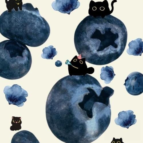 دانلود آهنگ فیسش نچراله ولی سلیقمه کلا یک و شصت قدشه