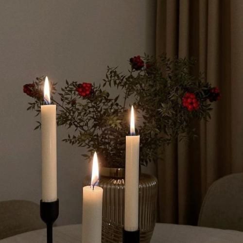 دانلود آهنگ بگو حال میکنی یا نه میسپاری دل مارو