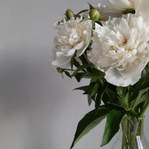 دانلود آهنگ نکشیدیم زیر و رو زندگیمو تف میکنم تو روی