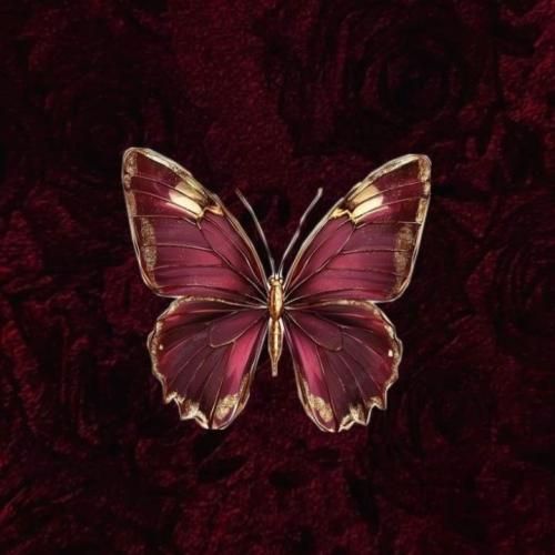 دانلود آهنگ امشو نم نم بارون شراب بریز بشم داغون