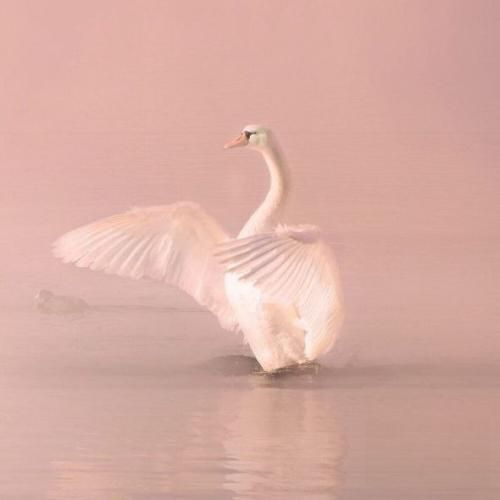 دانلود آهنگ ازت میگیرم حس بهتر پایینو نگاه نکن سیفه بپر