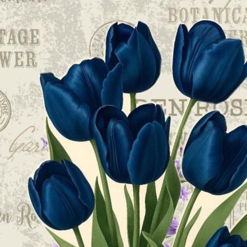 دانلود آهنگ نمیخوامت حتی توی فیک پیجم میرم زیاد بالا